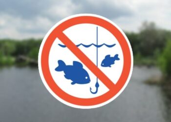 Все про заборону, яку вводять на Закарпатті з 25 березня — Закарпаття