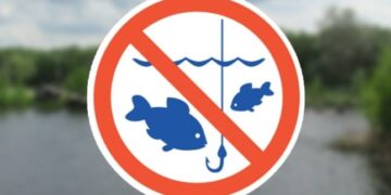 Все про заборону, яку вводять на Закарпатті з 25 березня — Закарпаття