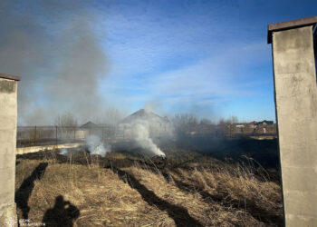 На Тячівщині жінка спричинила масштабну пожежу, спалюючи сухостій –