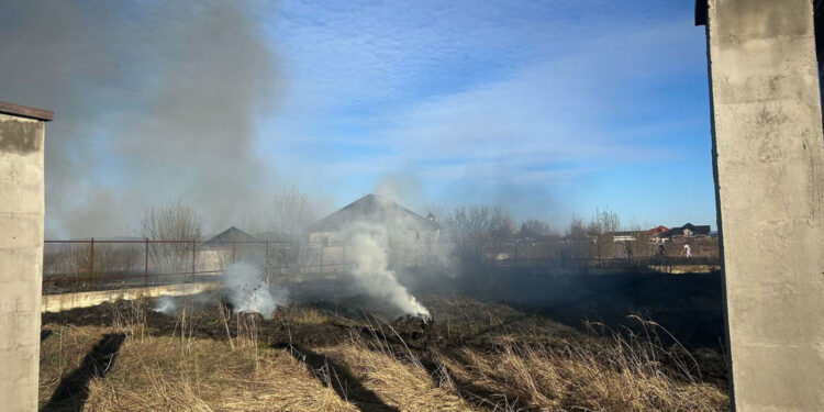На Тячівщині жінка спричинила масштабну пожежу, спалюючи сухостій –