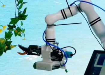 Китайський робот із ШІ сам запилює, обрізає й збирає овочі – Техніка