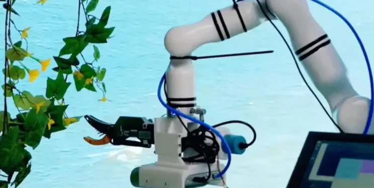 Китайський робот із ШІ сам запилює, обрізає й збирає овочі – Техніка