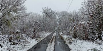 Синоптики розповіли, який «сюрприз» підготувала погода — Закарпаття