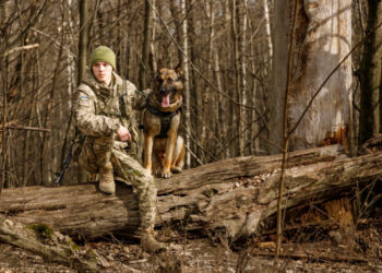 Ліф на варті кордону: чотирилапий герой Чопського загону