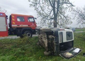 Між Підвиноградовом і Олешником на Берегівщині фургон врізався в дерево, загинув 25-річний водій (ФОТО)