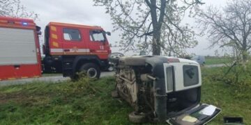 Між Підвиноградовом і Олешником на Берегівщині фургон врізався в дерево, загинув 25-річний водій (ФОТО)