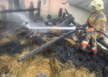 На Хустщині горіла надвірна споруда: обійшлося без жертв (ФОТО) –