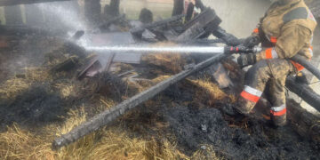 На Хустщині горіла надвірна споруда: обійшлося без жертв (ФОТО) –