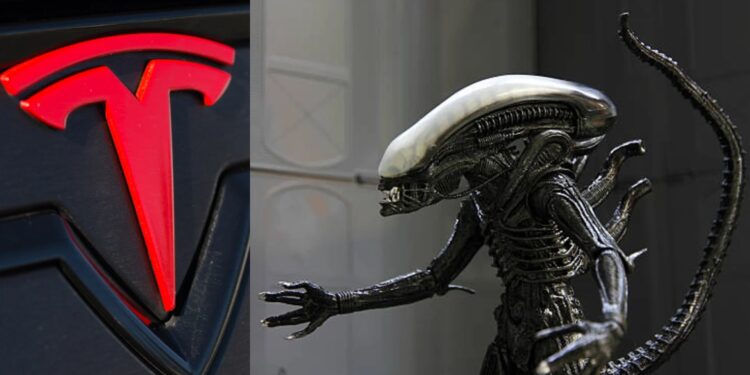 Новий робот-прибиральних Tesla нагадує ксеноморфа з фільму “Чужий” (ВІДЕО) – Автоновини