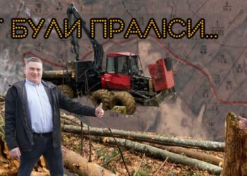 Під полониною Рівною зрубали праліси для вітропарку Єфімова-Мкртчана