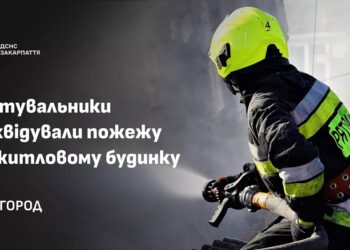 Поки 73-річна власниця пішла за покупками, в Ужгороді горів її будинок (ФОТО)