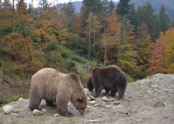 Понад 14 тисяч туристів відвідали нацпарки Закарпаття за перший квартал 2025 року –