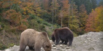 Понад 14 тисяч туристів відвідали нацпарки Закарпаття за перший квартал 2025 року –