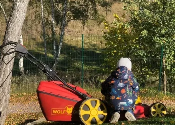 Причины аутизма обещает найти команда Трампа уже через несколько месяцев – Здоров’я