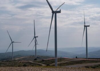 Реалізація проєкту 1,5 ГВт ВЕС на Закарпатті триватиме близько 5 років –