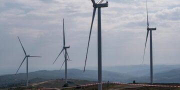 Реалізація проєкту 1,5 ГВт ВЕС на Закарпатті триватиме близько 5 років –