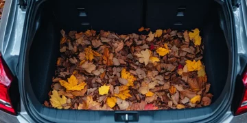 Що потрібно покласти в багажник автомобіля на початку осені – Авто поради