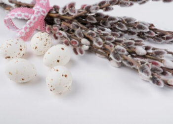 Сьогодні – Вербна неділя