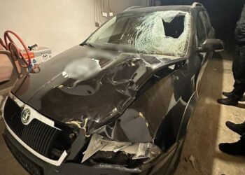 Суд ув&apos;язнив на 3 роки закарпатця зі 101-ї бригади ТрО, який восени на Тячівщині на “зебрі” смертельно травмував підлітка і втік (ФОТО)