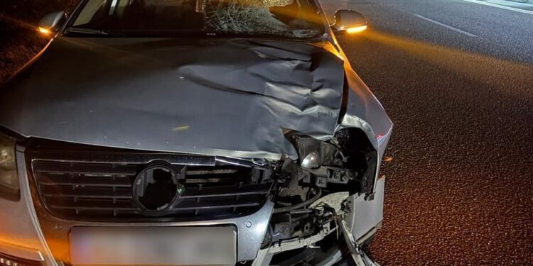 Суд в Ужгороді звільнив водія Volkswagen-а від покарання за смертельний наїзд на жительку Великих Лазів (ФОТО)