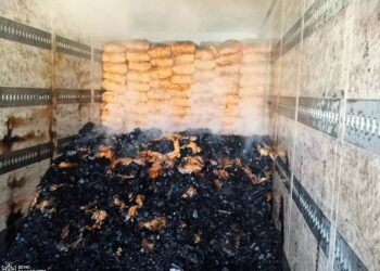 У Лалові на Мукачівщині гасили пожежу в причепі з вугіллям (ФОТО)