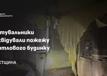 У Негровці на Хустщині врятували будинок, що загорівся