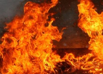 У пожежі будинку в Королеві на Берегівщині травмувався чоловік
