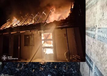 У Сускові на Мукачівщині в палаючій надвірній споруді загинули 400 перепілок (ФОТО)