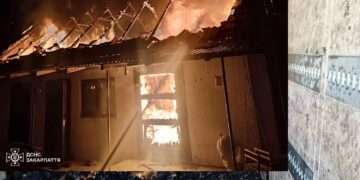 У Сускові на Мукачівщині в палаючій надвірній споруді загинули 400 перепілок (ФОТО)