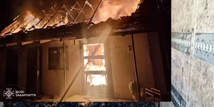 У Сускові на Мукачівщині в палаючій надвірній споруді загинули 400 перепілок (ФОТО)