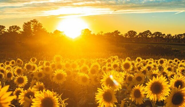 Погода на червень 2025: точний прогноз синоптиків — Закарпаття