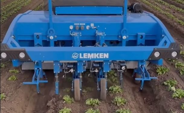 Lemken показала «розумний» культиватор на салатному полі – Техніка