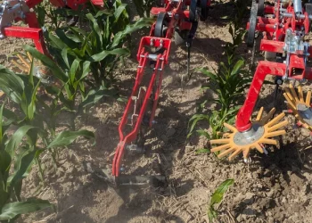 Новий Querdammhäufler захищає поля кукурудзи та соняшнику від ерозії – Техніка