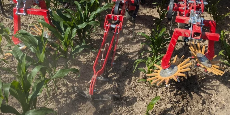 Новий Querdammhäufler захищає поля кукурудзи та соняшнику від ерозії – Техніка