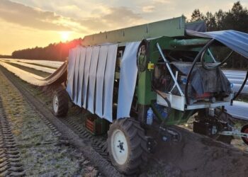 У Франції запускають роботизовану машину для збирання спаржі  – Техніка