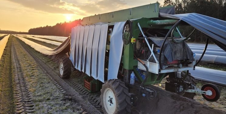 У Франції запускають роботизовану машину для збирання спаржі  – Техніка