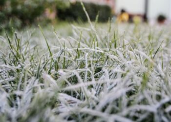 Синоптики прогнозують прохолодні вихідні: на Закарпатті — штормове попередження — Закарпаття