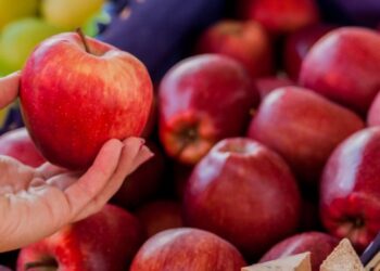 Що станеться з організмом, якщо щодня їсти яблука — Закарпаття