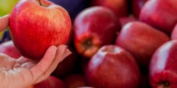 Що станеться з організмом, якщо щодня їсти яблука — Закарпаття