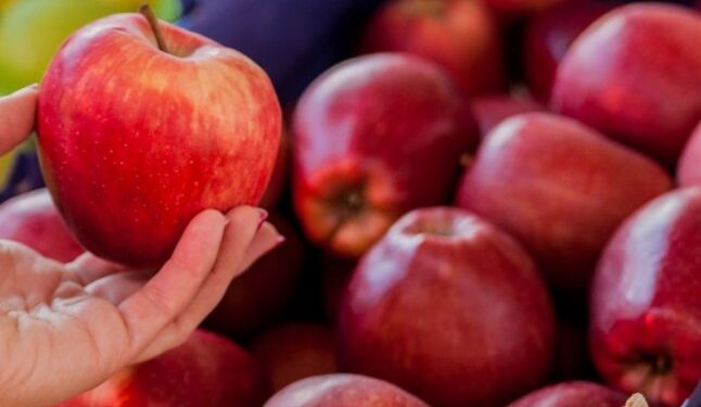 Що станеться з організмом, якщо щодня їсти яблука — Закарпаття