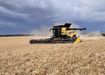 Комбайни Case IH і New Holland тепер аналізують зерно прямо в полі – Техніка