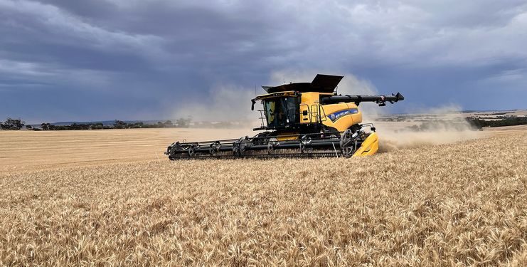 Комбайни Case IH і New Holland тепер аналізують зерно прямо в полі – Техніка