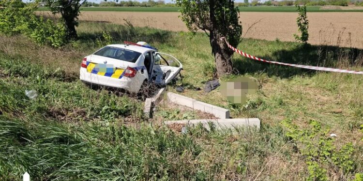 Аварія під Полтавою із загиблими військовими. Водія повідомили про підозру
