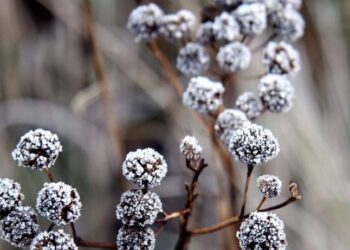 Попередження від синоптиків: погода піднесе неприємні сюрпризи українцям — Закарпаття