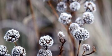 Попередження від синоптиків: погода піднесе неприємні сюрпризи українцям — Закарпаття