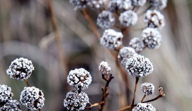 Попередження від синоптиків: погода піднесе неприємні сюрпризи українцям — Закарпаття