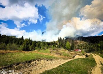 Десятки рятувальників понад п’ять годин гасили масштабну пожежу — Закарпаття