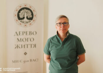 «Дерево мого життя»: як на Закарпатті створюють безпечний простір для психологічної підтримки