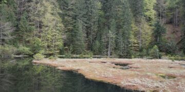 Дике озеро на Хустщині тепер ще привабливіше для туристів (ФОТО) –