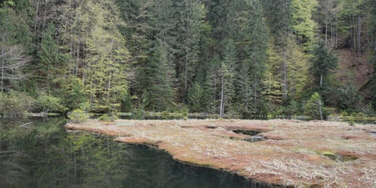 Дике озеро на Хустщині тепер ще привабливіше для туристів (ФОТО) –